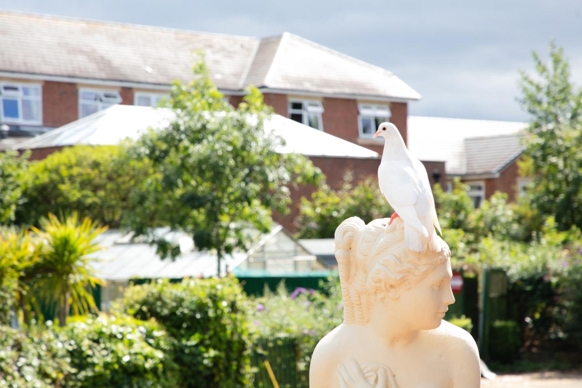 Dorset Arms Hotel Wallsend Eksteriør bilde