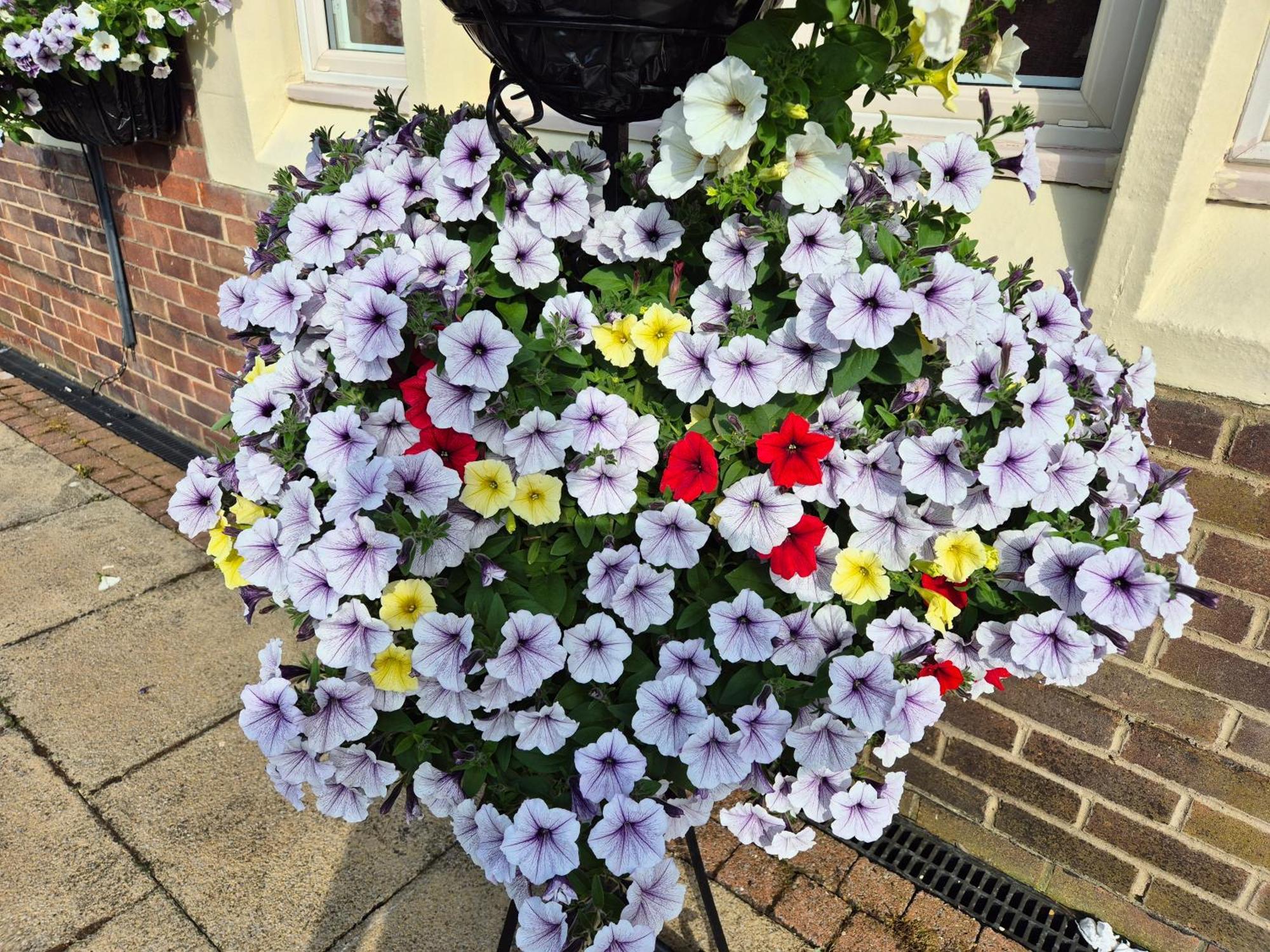 Dorset Arms Hotel Wallsend Eksteriør bilde