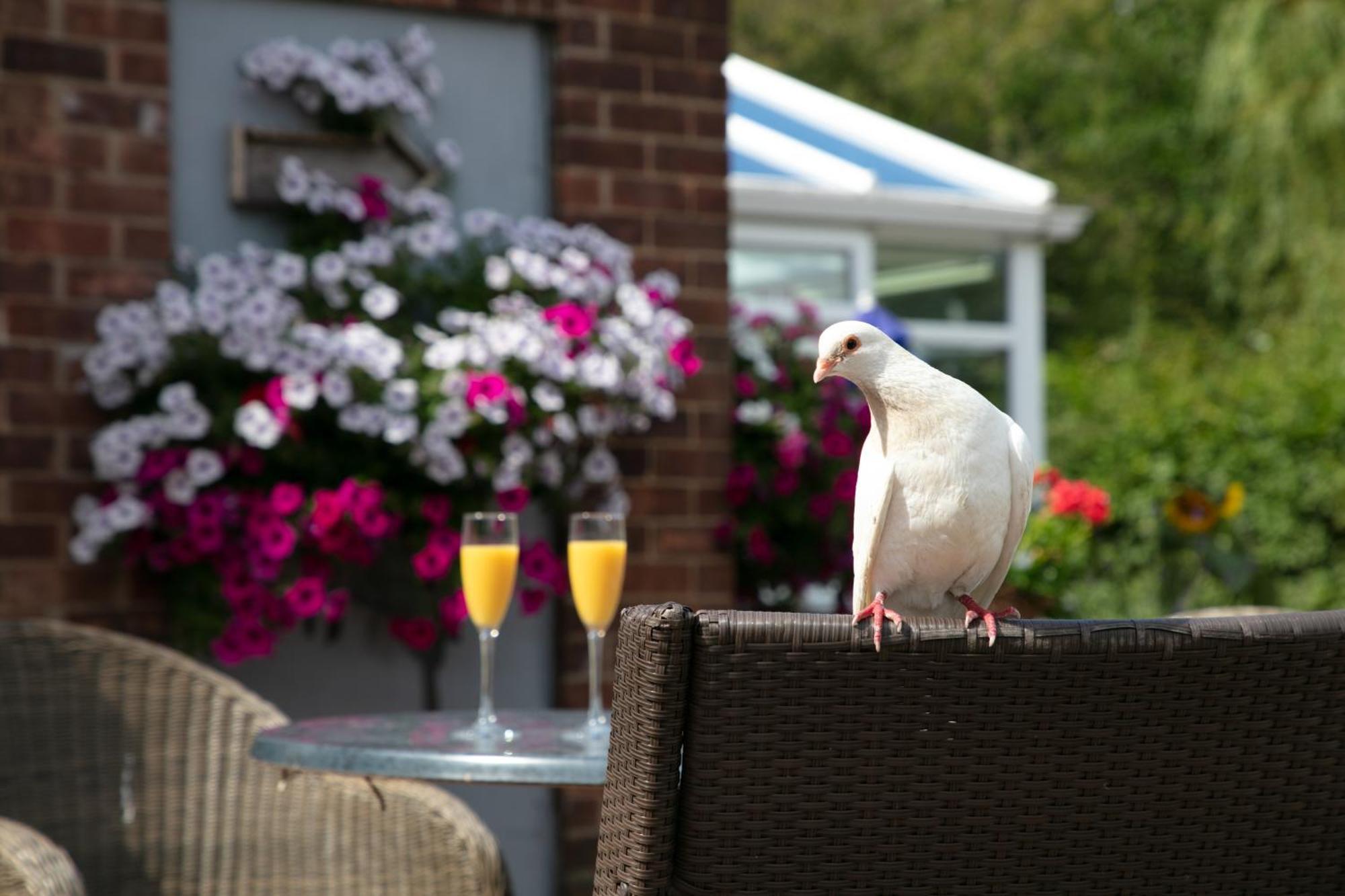 Dorset Arms Hotel Wallsend Eksteriør bilde